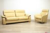 Salon moderne en cuir jaune et brun